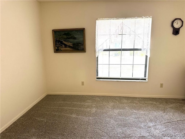 spare room featuring carpet flooring