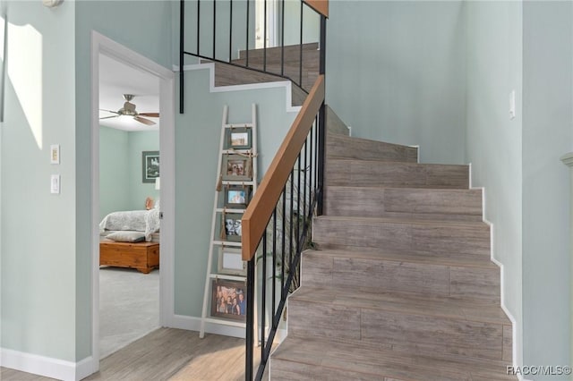 staircase featuring ceiling fan and hardwood / wood-style flooring