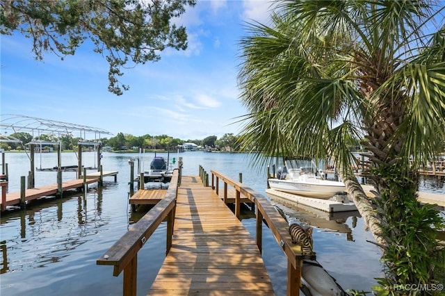 dock area with a water view