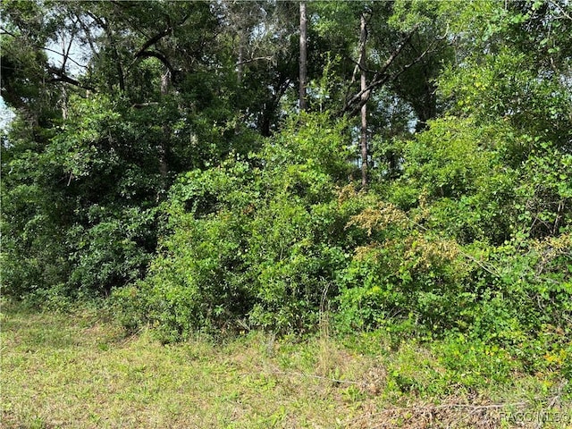 11312 N Fuego Dr, Citrus Springs, FL 34434