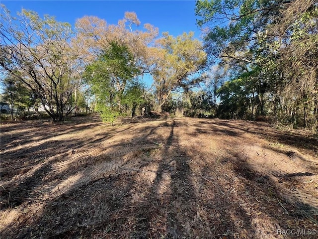 4322 N Carl G Rose Hwy, Hernando FL, 34442 land for sale