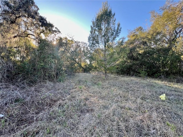 Listing photo 3 for 4322 N Carl G Rose Hwy, Hernando FL 34442