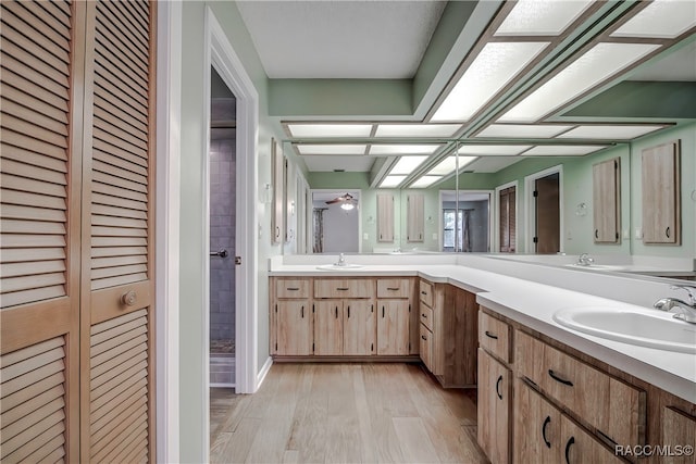 bathroom with vanity and wood-type flooring