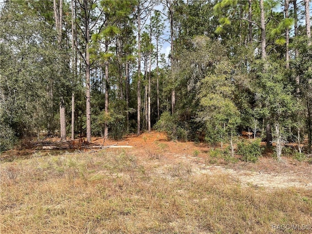 Listing photo 3 for 0 59th Ln, Dunnellon FL 34431