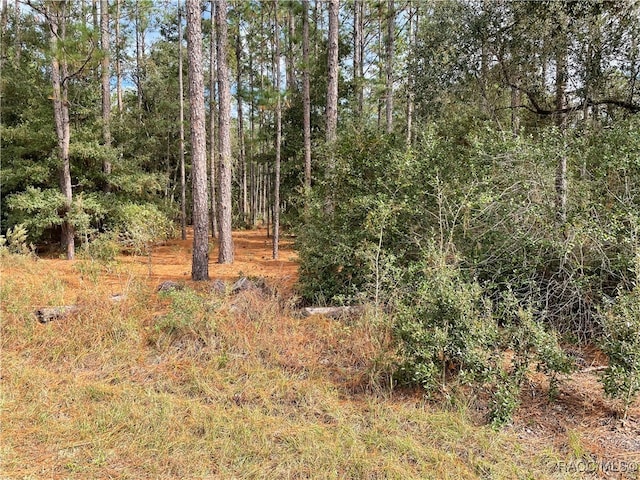 0 59th Ln, Dunnellon FL, 34431 land for sale