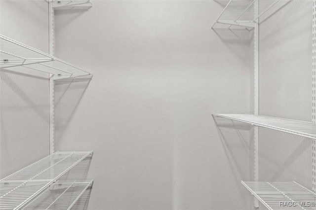2494 W Axelwood Dr, Beverly Hills, FL 34465 - view of spacious closet