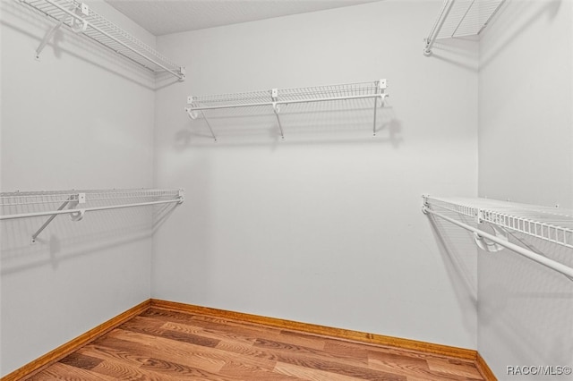 spacious closet featuring hardwood / wood-style flooring