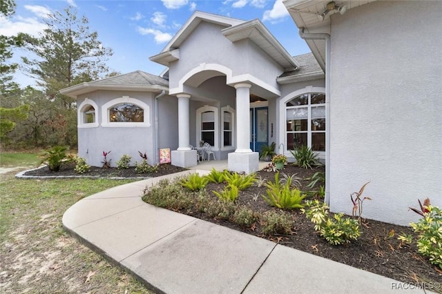 doorway to property featuring stucco siding