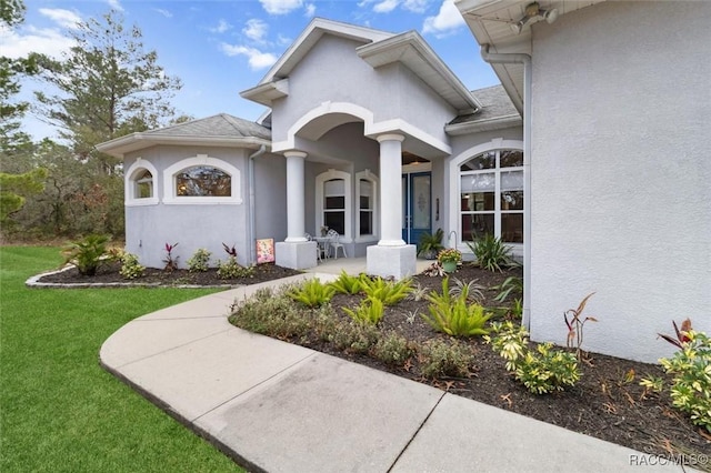 entrance to property with a yard and stucco siding