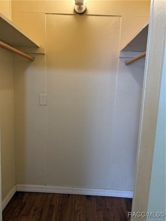 spacious closet with dark wood-type flooring