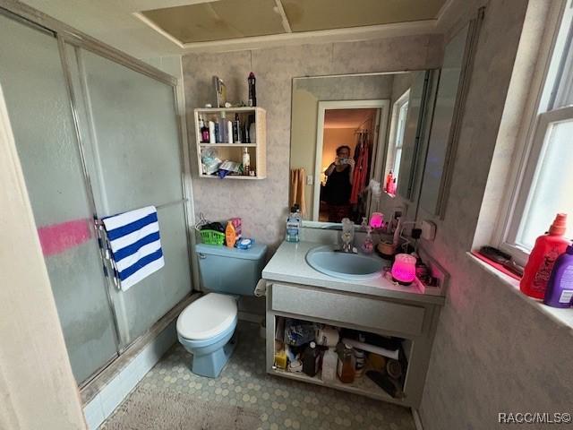 full bathroom featuring toilet, a stall shower, and vanity