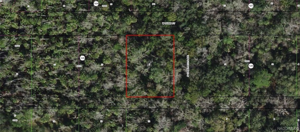 10388 W Dunn St, Homosassa, FL 34448 - photo 1