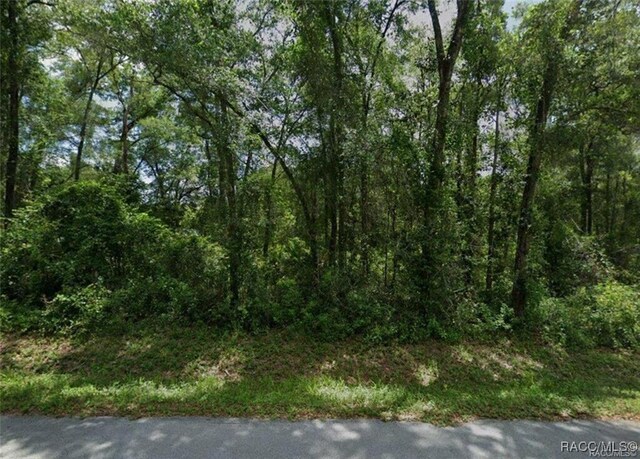 LOTS899091 N Rooks Ave, Inverness, FL 34453