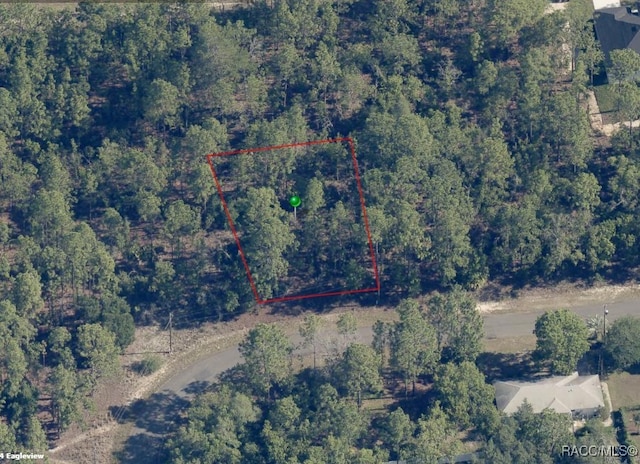 2209 W Linden Dr, Citrus Springs, FL 34434 - photo 8