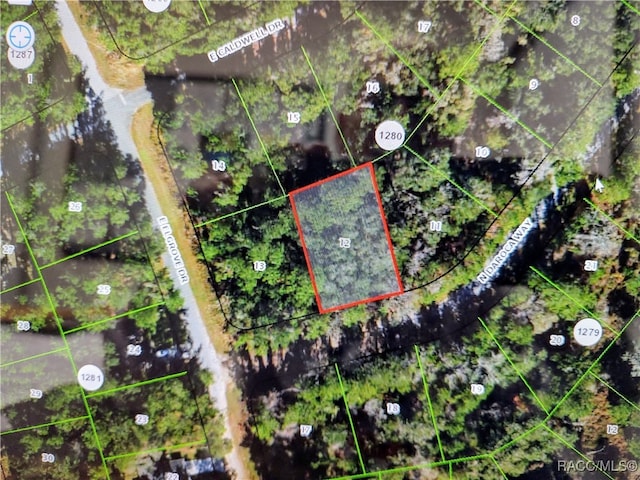 9864 N Daroca Way, Dunnellon FL, 34434 land for sale