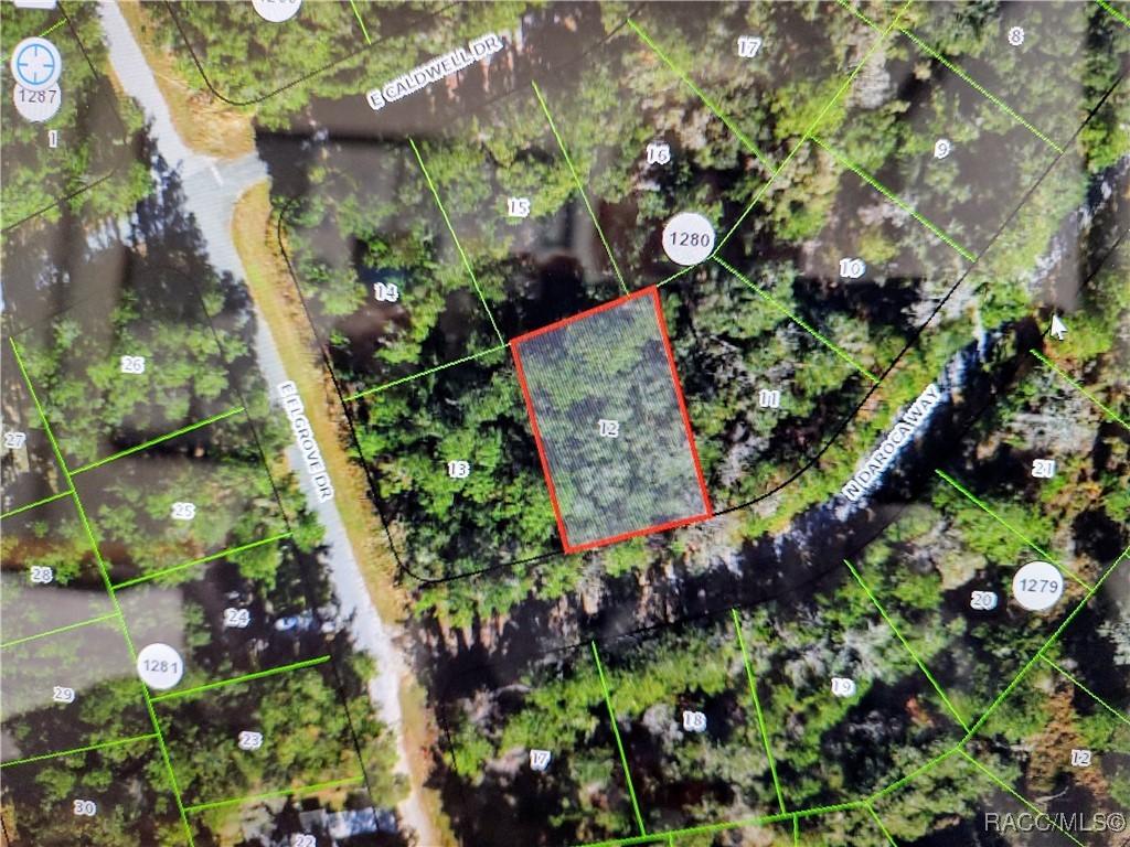 9864 N Daroca Way, Dunnellon, FL 34434 - photo 1