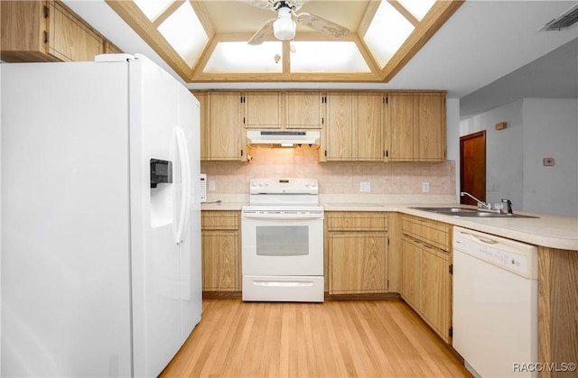 kitchen with light hardwood / wood-style flooring, white appliances, ceiling fan, decorative backsplash, and sink