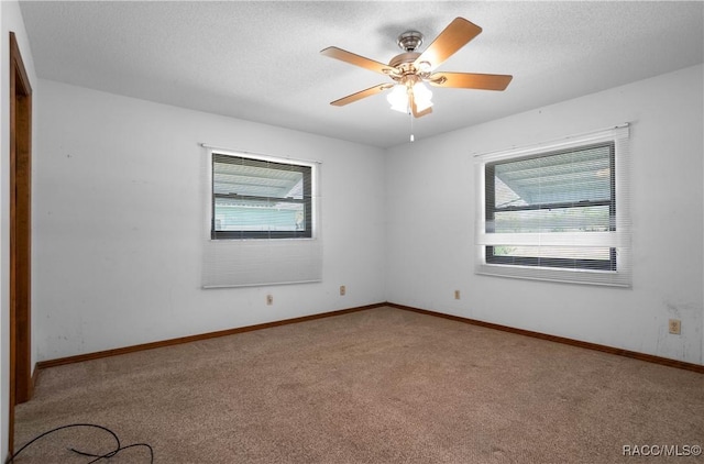 empty room with carpet flooring, a textured ceiling, and a wealth of natural light