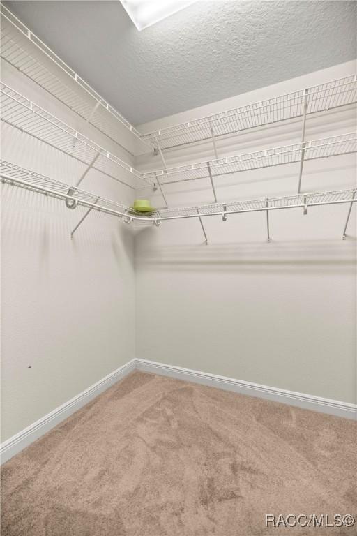1825 W Caroline Path, Lecanto, FL 34461 - spacious closet with carpet