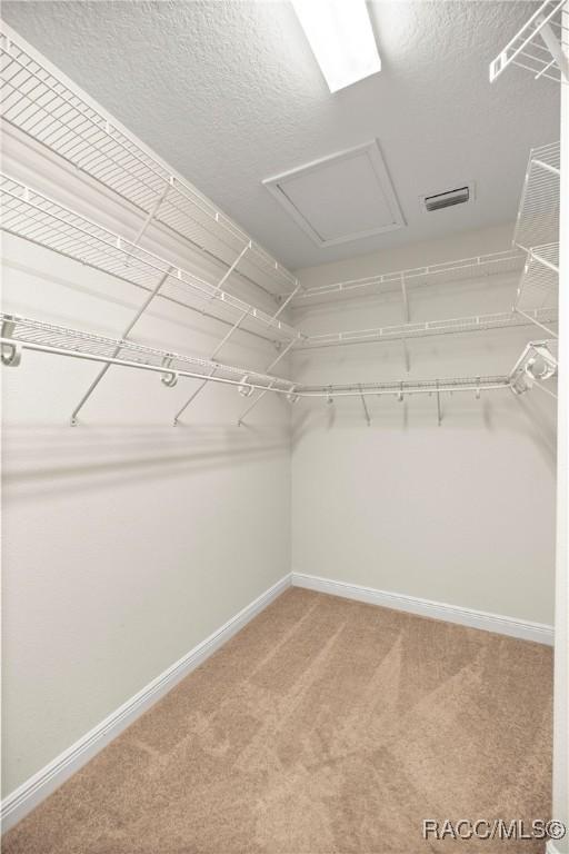 1825 W Caroline Path, Lecanto, FL 34461 - spacious closet with light colored carpet