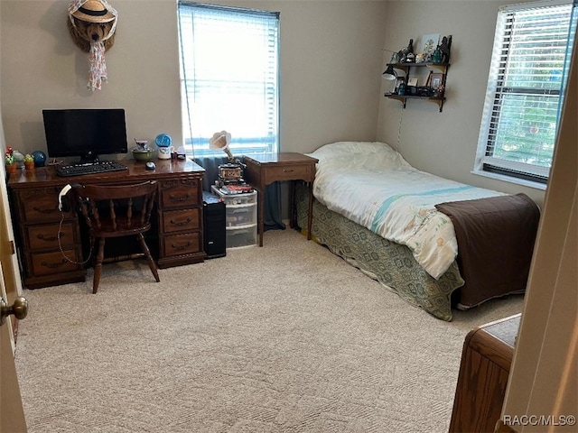 carpeted bedroom with multiple windows