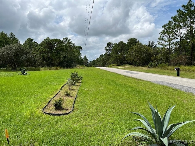 view of road