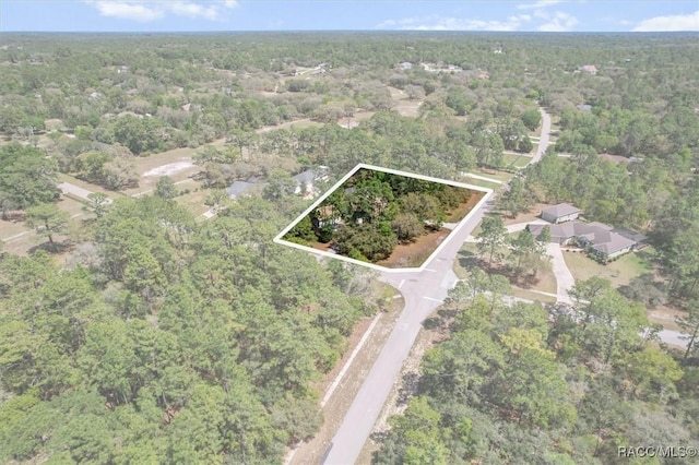 3563 W Blossom Dr, Beverly Hills, FL 34465 - aerial view of property's location featuring a forest and property boundaries highlighted