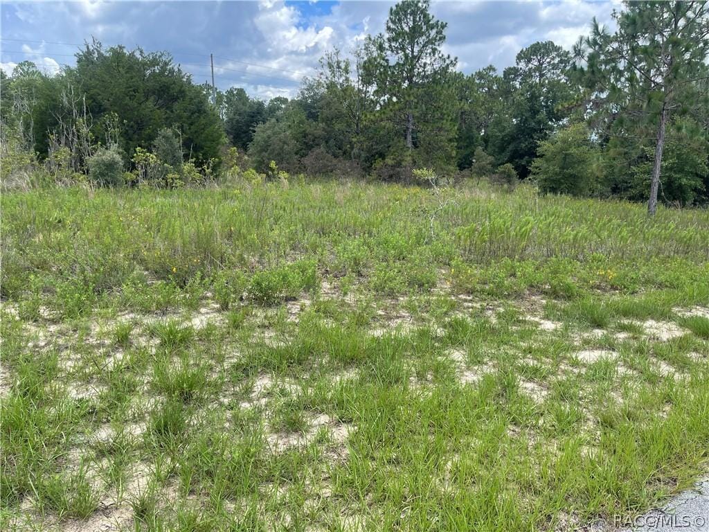 6028 W Alessi Pl, Dunnellon, FL 34433 - photo 2