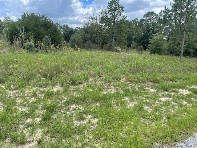 6028 W Alessi Pl, Dunnellon, FL 34433 - photo 2