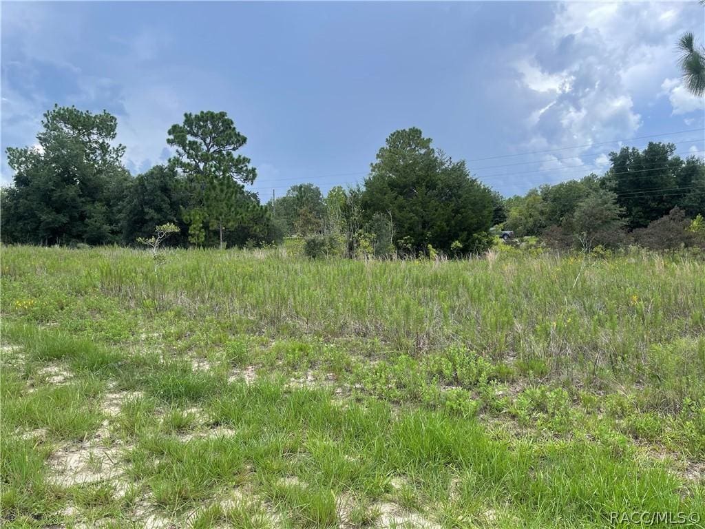 6028 W Alessi Pl, Dunnellon, FL 34433 - photo 4
