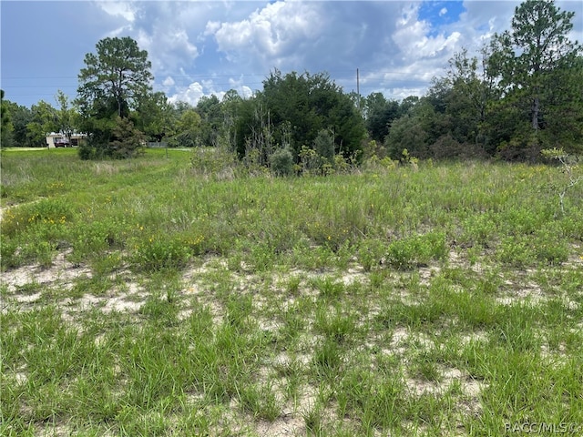 6028 W Alessi Pl, Dunnellon FL, 34433 land for sale