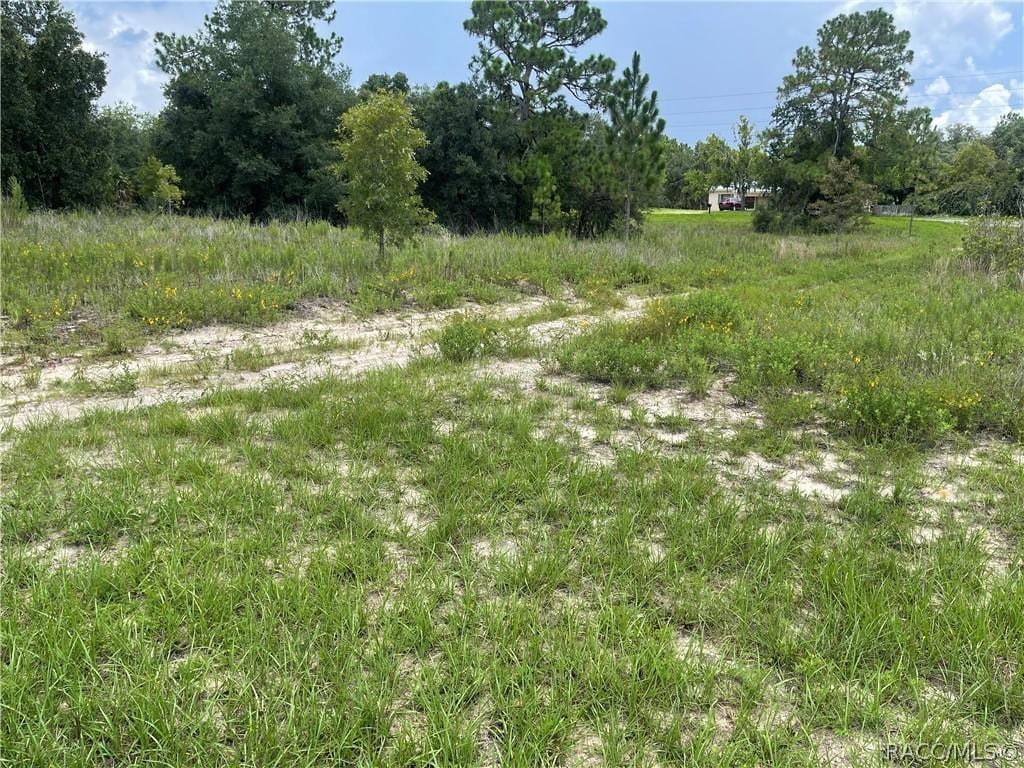 6028 W Alessi Pl, Dunnellon, FL 34433 - photo 3