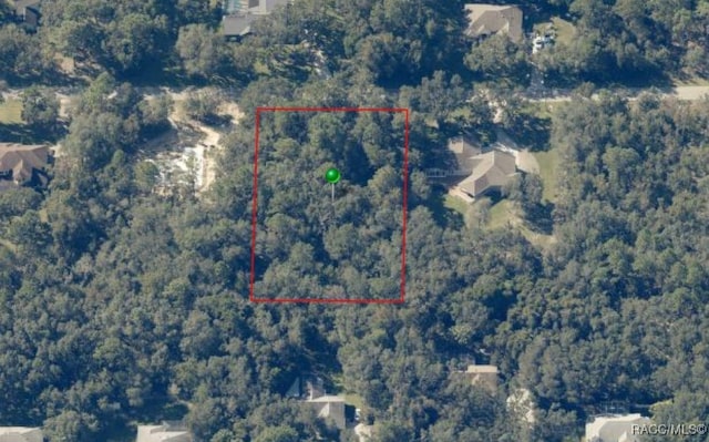 893 W Pearson St, Hernando, FL 34442
