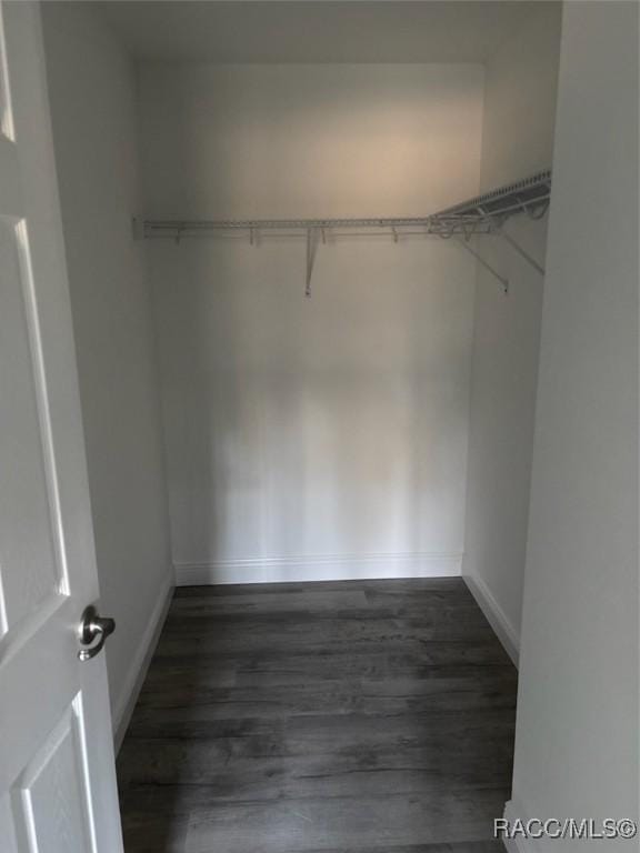 spacious closet featuring dark wood-style floors