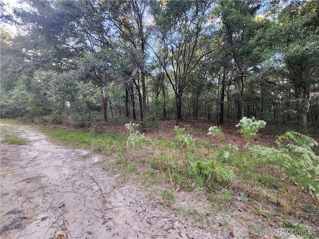 1906 Addison St, Inverness FL, 34453 land for sale