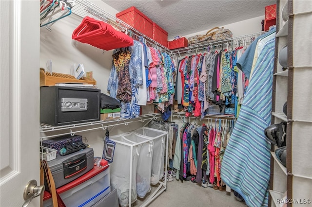 spacious closet featuring carpet flooring