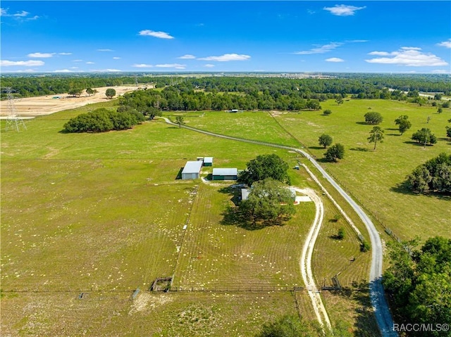 7935 SE 121st Pl, Belleview, FL 34420 - photo 64