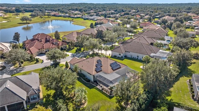 1626 N Eagle Ridge Path, Hernando, FL 34442 - aerial view of residential area featuring a large body of water