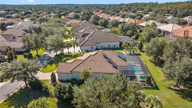 1626 N Eagle Ridge Path, Hernando, FL 34442 - aerial view of residential area