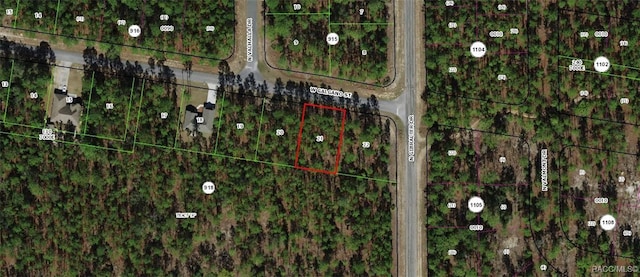 1148 W Galgano St, Dunnellon FL, 34434 land for sale