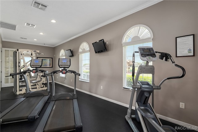 exercise area featuring a wealth of natural light and ornamental molding