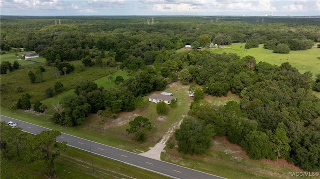 bird's eye view