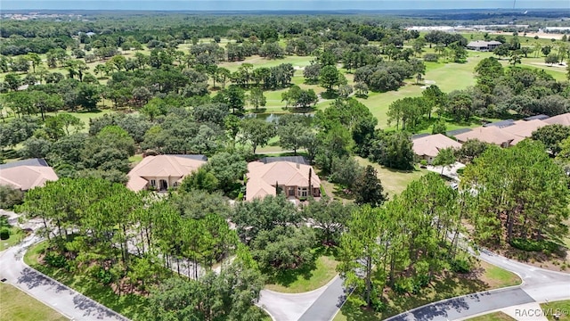 3165 W Wentworth Loop, Lecanto, FL 34461 - photo 78