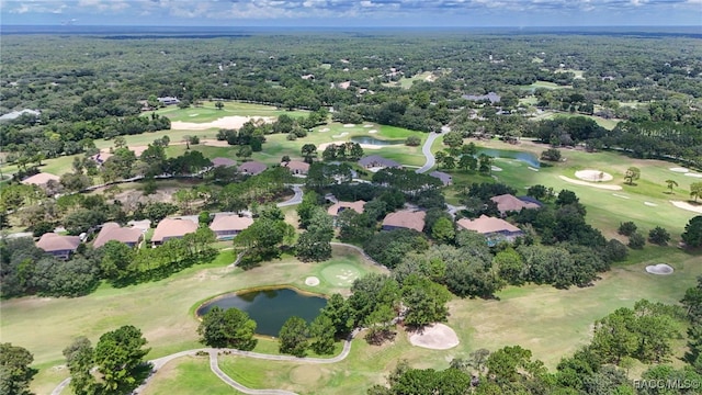 3165 W Wentworth Loop, Lecanto, FL 34461 - photo 83