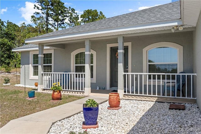 view of exterior entry featuring a shingled roof, covered porch, and stucco siding