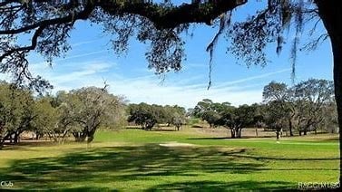 surrounding community featuring a yard