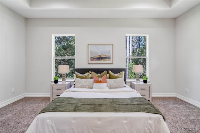 carpeted bedroom featuring a tray ceiling and multiple windows