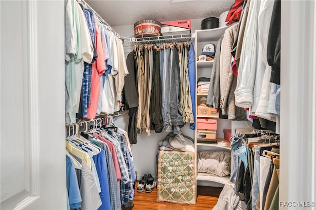 walk in closet featuring wood finished floors