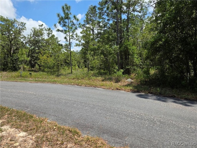 13 Spruce Pine Ct S, Homosassa, FL 34446