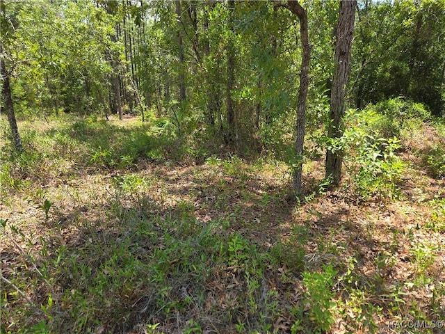 13 Spruce Pine Ct S, Homosassa, FL 34446